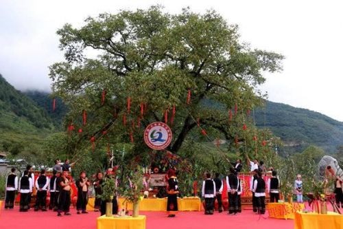 漾濞县怎么读拼音(大理漾濞县怎么读)-第1张图片-