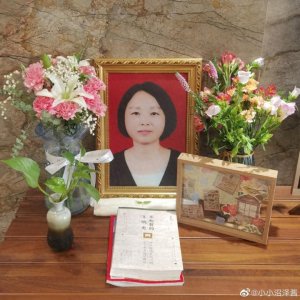 ​河南女教师遭“网课爆破”后猝死案宣判：两名涉案成年人被拘留