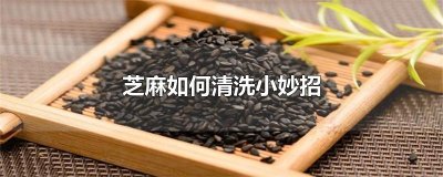 ​芝麻如何清洗小妙招