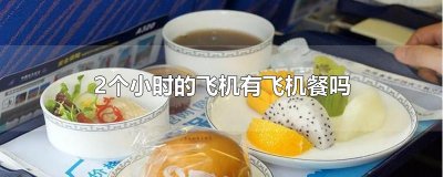 ​2个小时的飞机有飞机餐吗
