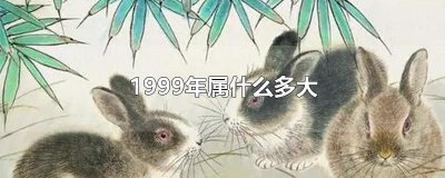 ​1999年属什么多大