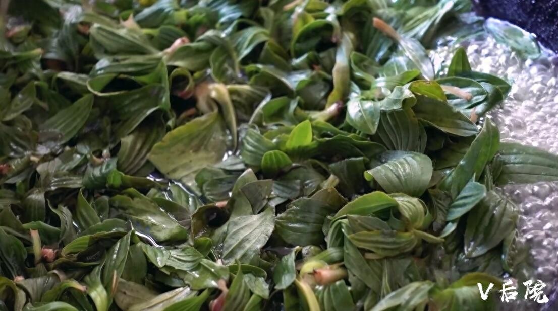 仅用了一种田边地头最不起眼的野菜，就做了两道满族特色菜