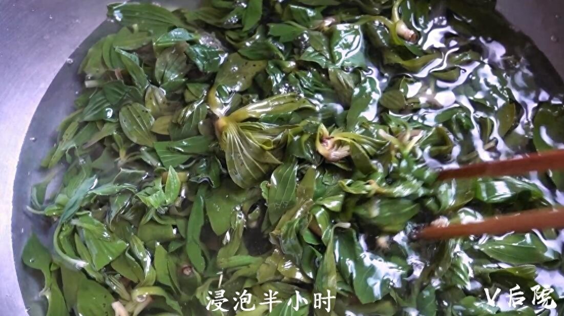 仅用了一种田边地头最不起眼的野菜，就做了两道满族特色菜