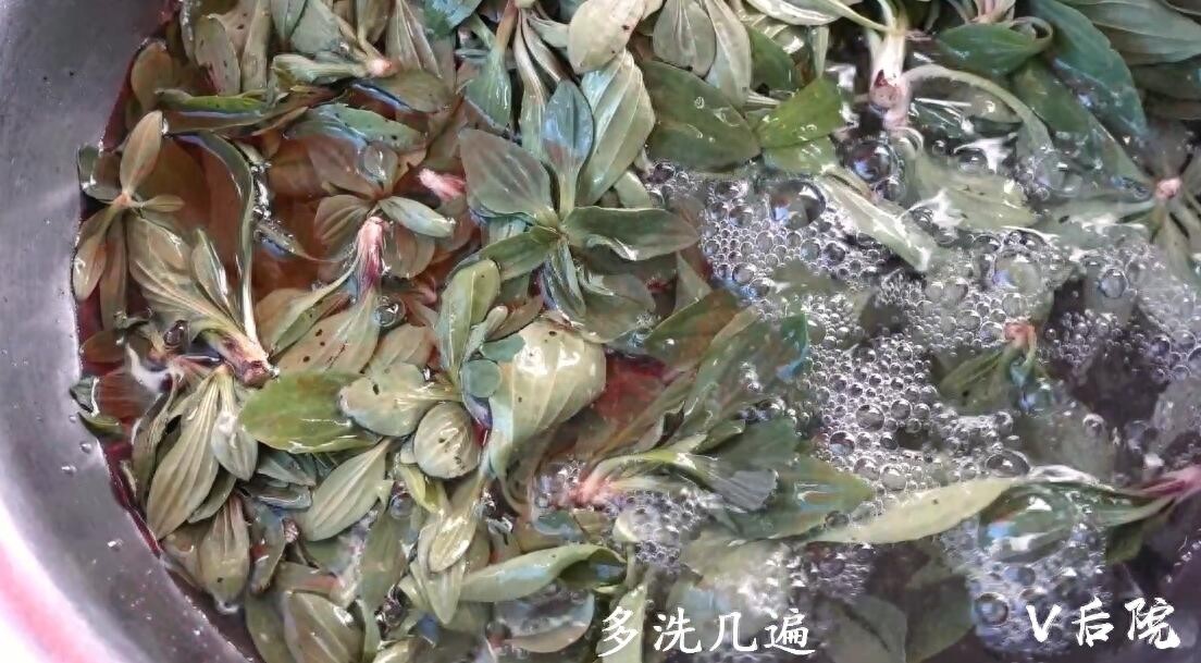 仅用了一种田边地头最不起眼的野菜，就做了两道满族特色菜