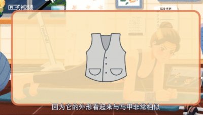 ​马甲线是什么