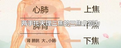 ​两手托天理三焦的三焦分别为