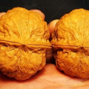 ​5个文玩核桃的品种排名，快来看看你们心中的排名吧！