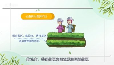 ​普洱茶产地