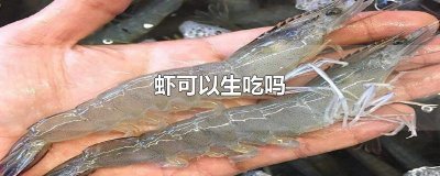​虾可以生吃吗