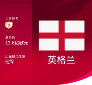 ​2022卡塔尔世界杯32支球队身价排名