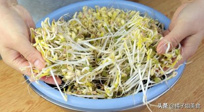 ​想吃豆芽不用买，教你在家生豆芽，5天就能吃，方法简单一看就会