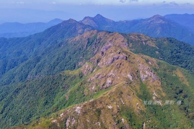 ​徒步广东大龙山，8小时跨越五座1500米级别雄伟山峰