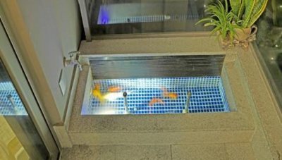 ​露台鱼池效果图，简易阳台鱼池设计