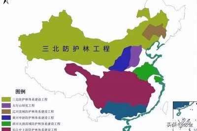 ​一文诠释防护林，各区防护林类别及乔灌木品种应用细分！