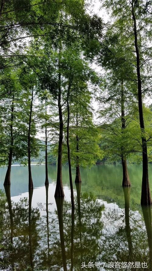 国家级AAAAA景区——广州市白云山风景名胜区，简约之美