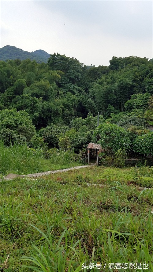 国家级AAAAA景区——广州市白云山风景名胜区，简约之美