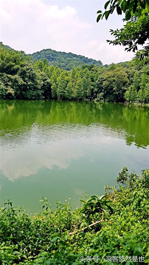 国家级AAAAA景区——广州市白云山风景名胜区，简约之美