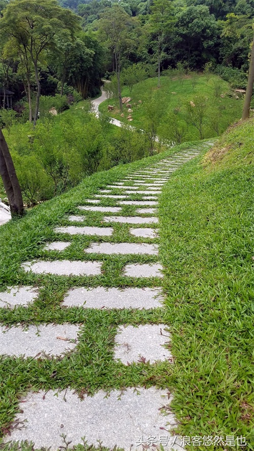 国家级AAAAA景区——广州市白云山风景名胜区，简约之美