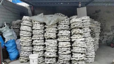 夫妻两人就能干的2个小生意,花六万办个加工厂,一年也能挣20万