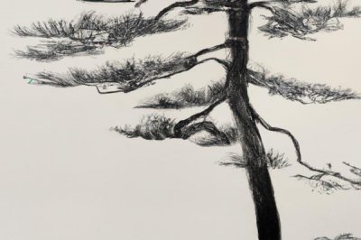 咏雪文言文翻译
