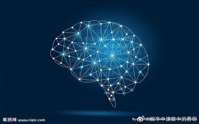 我们人类的脑部解剖