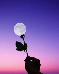 ​闺蜜见面聚会时这样发，赞爆你的朋友圈