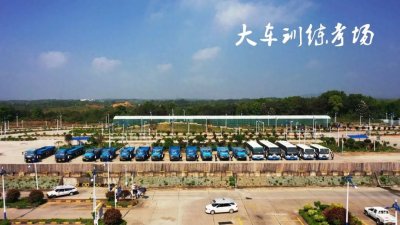 ​资深教练总结：新手上路，起步不熄火的小妙招！