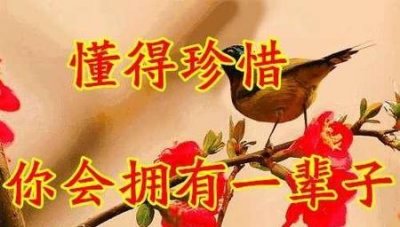 ​女朋友考驾照要我给钱(女朋友想要东西没钱买怎么回答)