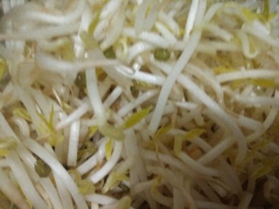 ​绿豆芽这样炒，脆嫩、爽口、清淡好吃