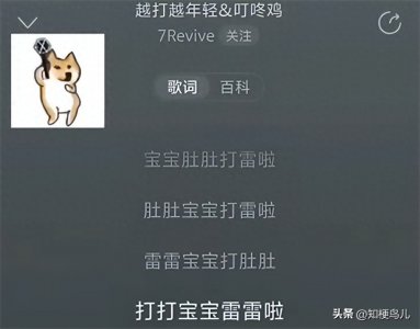 ​撞车的小曲儿是什么梗？又称叮咚鸡定律