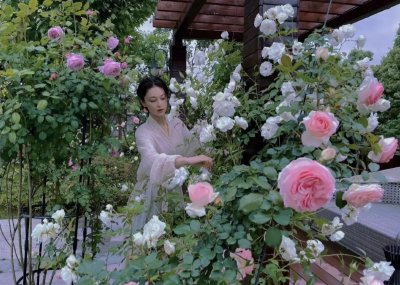 ​张馨予在自家菜园整理花草采集蔬菜，网友：城市田园生活让人羡慕