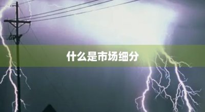 ​什么是市场细分