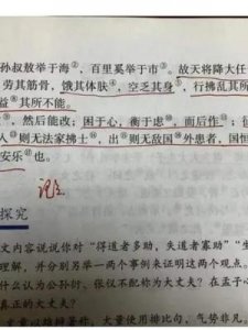 ​斯的意思是什么(美丽如斯的意思是什么)