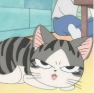 分享一波卡通猫咪头像,喜欢的小伙伴千万不要错过