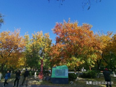 ​北京常营公园，摄影师的天堂，令人流连忘返，太美，太美