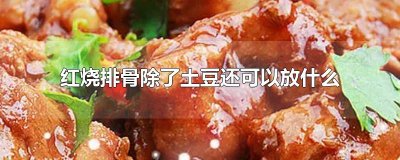​红烧排骨除了土豆还可以放什么