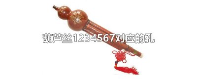 ​葫芦丝1234567对应的孔