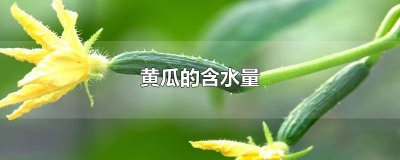​黄瓜的含水量是多少?很高,90%以上不是很高 黄瓜的含水量蚂蚁庄园