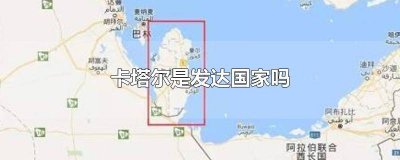 ​卡塔尔有钱吗 沙特阿拉伯是发达国家吗