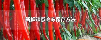 ​辣椒的冷库储存方法 辣椒在保鲜冷库储存多久