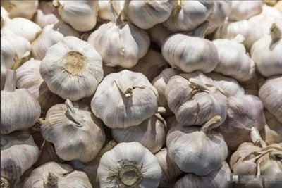 ​新蒜大量上市，目前大蒜价格多少钱一斤？2024年大蒜行情走势预测