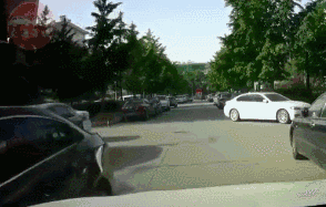 常用的安全驾驶常识(新手司机请收藏)(5)