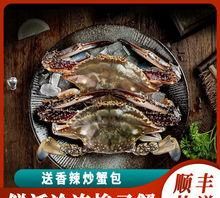 活青膏蟹可以速冻吗