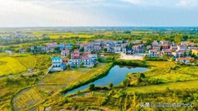 ​乡村振兴战略的具体内容是什么