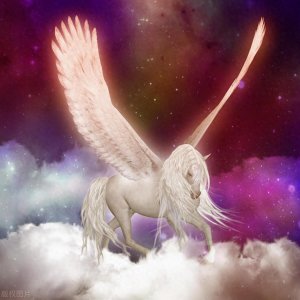 ​夜空中的一个标志性星座——飞马座