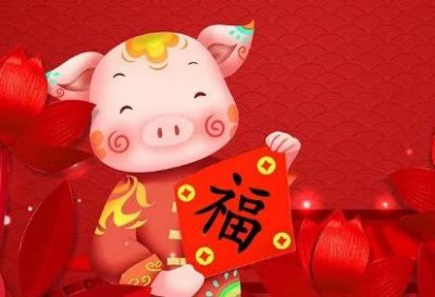 ​1995年几月猪命好 1995年属猪人的一生命运如何