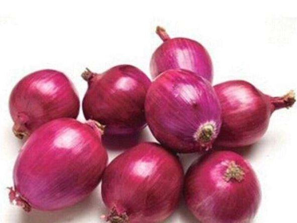 如何辨别大葱的好坏