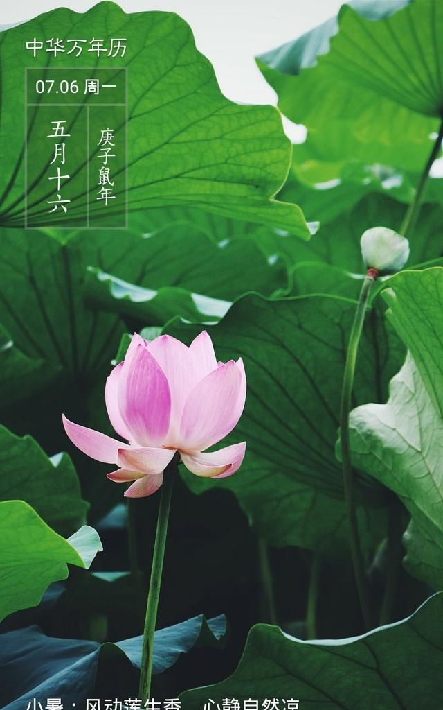 隋朝多少年，三国两晋南北朝持续了多少年？图3