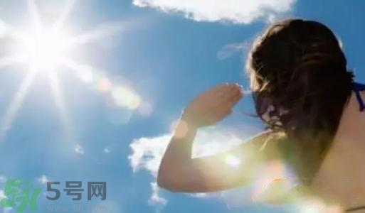 三伏天吃什么?三伏天传统美食有哪些? 三伏天吃什么?三伏天传统美食有哪些?