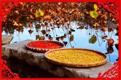 ​现在的农村，搞什么养殖投资少、见效快呢？这几种